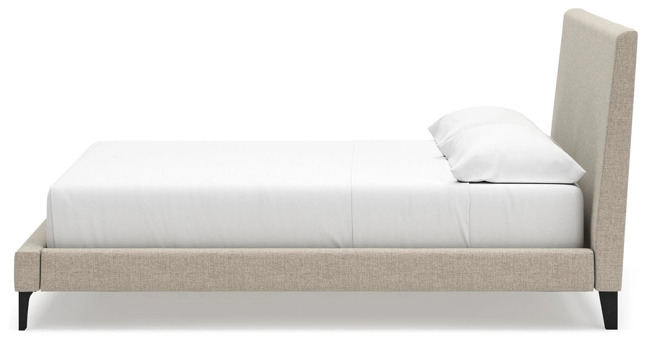 Cielden Upholstered Bed with Roll Slats - Dream Home Furniture & Mattress (Waite Park, MN)