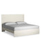 Stelsie Bed - Dream Home Furniture & Mattress (Waite Park, MN)