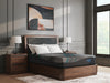 Millennium 2.0 Foam 12 Inch Mattress - Dream Home Furniture & Mattress (Waite Park, MN)