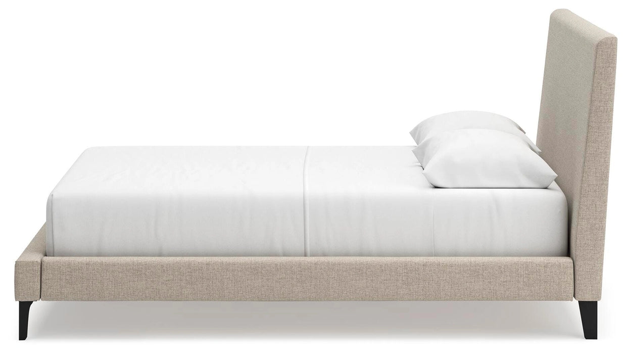Cielden Upholstered Bed with Roll Slats - Dream Home Furniture & Mattress (Waite Park, MN)