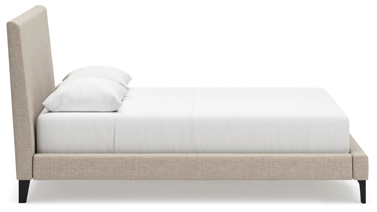 Cielden Upholstered Bed with Roll Slats - Dream Home Furniture & Mattress (Waite Park, MN)