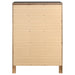 Miranda Chest - Dream Home Furniture & Mattress (Waite Park, MN)