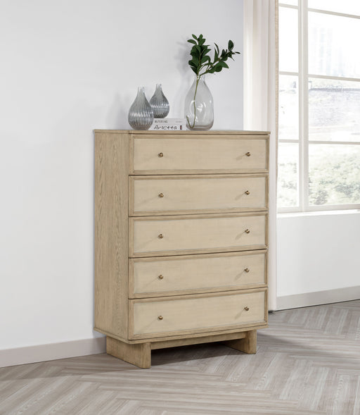 Kailani Chest of Drawers - Dream Home Furniture & Mattress (Waite Park, MN)