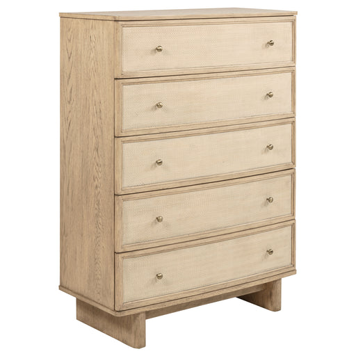 Kailani Chest of Drawers - Dream Home Furniture & Mattress (Waite Park, MN)