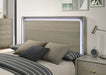 Rainier Queen Bedroom Set Gray - Dream Home Furniture & Mattress (Waite Park, MN)