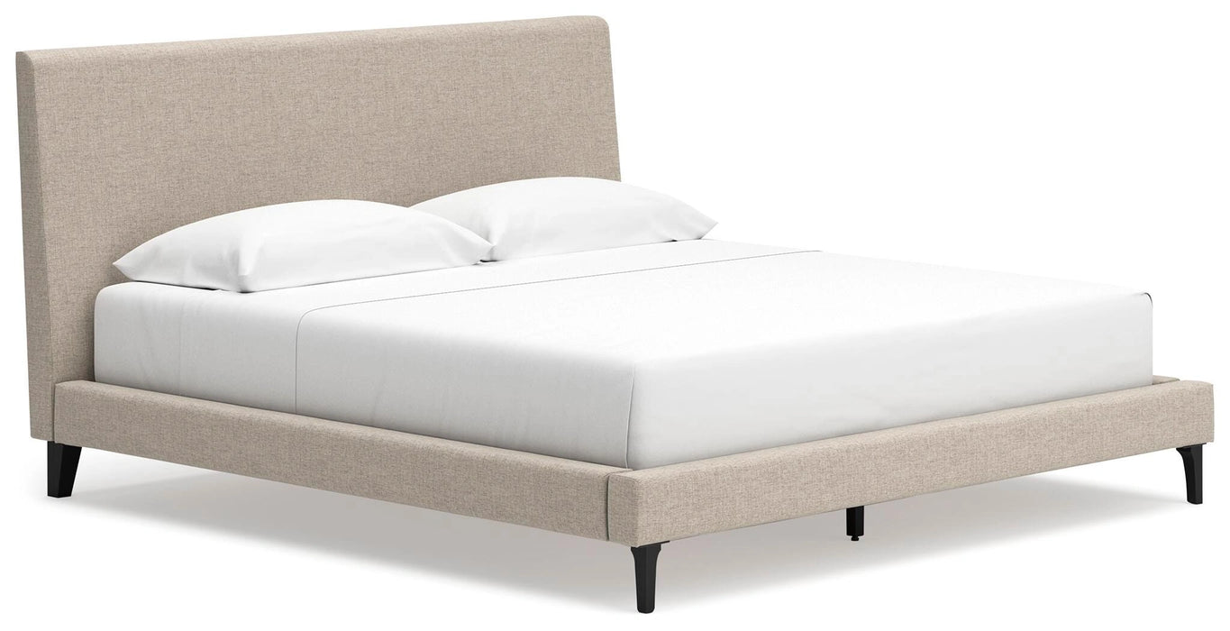 Cielden Upholstered Bed with Roll Slats - Dream Home Furniture & Mattress (Waite Park, MN)