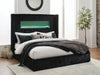 Tayleena Bed - Dream Home Furniture & Mattress (Waite Park, MN)