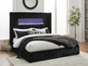 Tayleena Bed - Dream Home Furniture & Mattress (Waite Park, MN)
