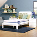 Nectar Foam Kids Mattress - Dream Home Furniture & Mattress (Waite Park, MN)