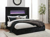 Tayleena Bed - Dream Home Furniture & Mattress (Waite Park, MN)