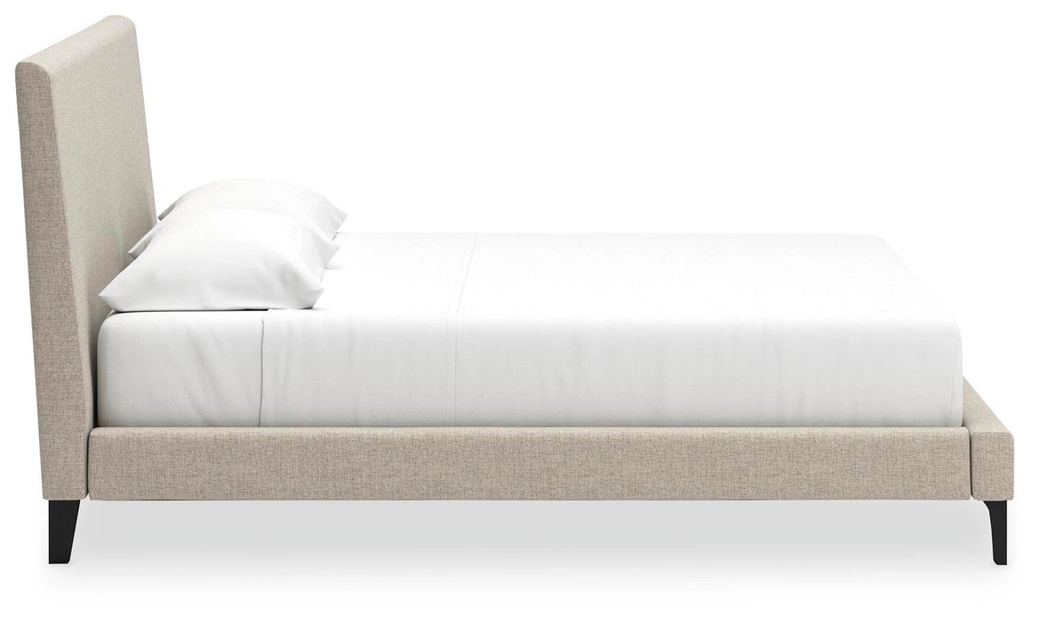 Cielden Upholstered Bed with Roll Slats - Dream Home Furniture & Mattress (Waite Park, MN)