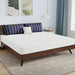 Nasturtium 8" E.King Bamboo Charcoal Infused Memory Foam - Dream Home Furniture & Mattress (Waite Park, MN)