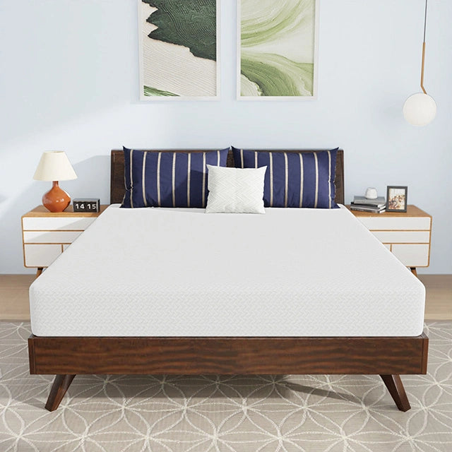 Nasturtium 8" Queen Bamboo Charcoal Infused Memory Foam - Dream Home Furniture & Mattress (Waite Park, MN)