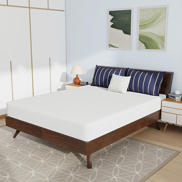 Nasturtium 8" Queen Bamboo Charcoal Infused Memory Foam - Dream Home Furniture & Mattress (Waite Park, MN)