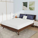 Nasturtium 8" Queen Bamboo Charcoal Infused Memory Foam - Dream Home Furniture & Mattress (Waite Park, MN)