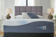 Millennium Luxury Plush Gel Latex Hybrid Mattress - Dream Home Furniture & Mattress (Waite Park, MN)