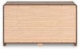 Fortlorn Dresser - Dream Home Furniture & Mattress (Waite Park, MN)