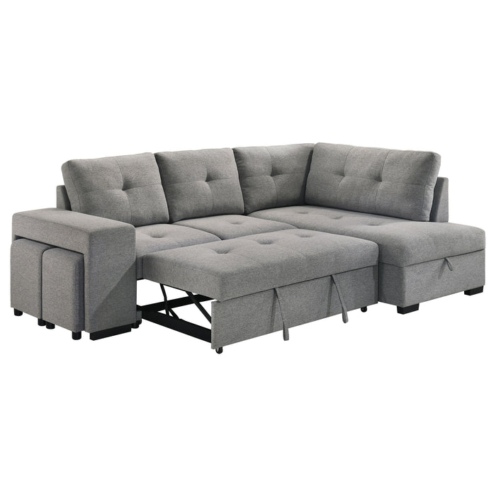 Roanne Pull-Out Sleeper Sectional Sofa
