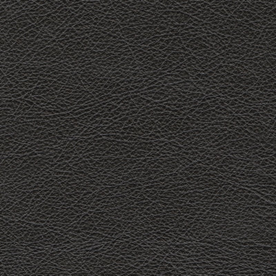 Amiata Sofa - Dream Home Furniture & Mattress (Waite Park, MN)