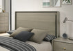 Rainier Queen Bedroom Set Gray - Dream Home Furniture & Mattress (Waite Park, MN)