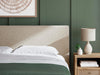 Cielden Upholstered Bed with Roll Slats - Dream Home Furniture & Mattress (Waite Park, MN)
