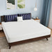 Nasturtium 10" E.King Bamboo Charcoal Infused Memory Foam - Dream Home Furniture & Mattress (Waite Park, MN)