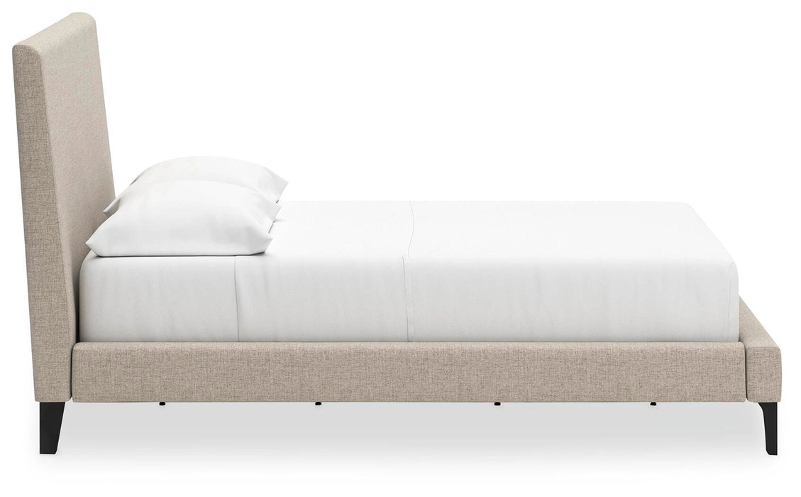 Cielden Upholstered Bed with Roll Slats - Dream Home Furniture & Mattress (Waite Park, MN)