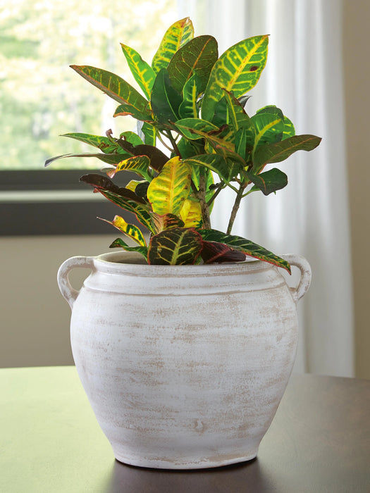 Meadie Vase - Dream Home Furniture & Mattress (Waite Park, MN)