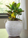 Meadie Vase - Dream Home Furniture & Mattress (Waite Park, MN)