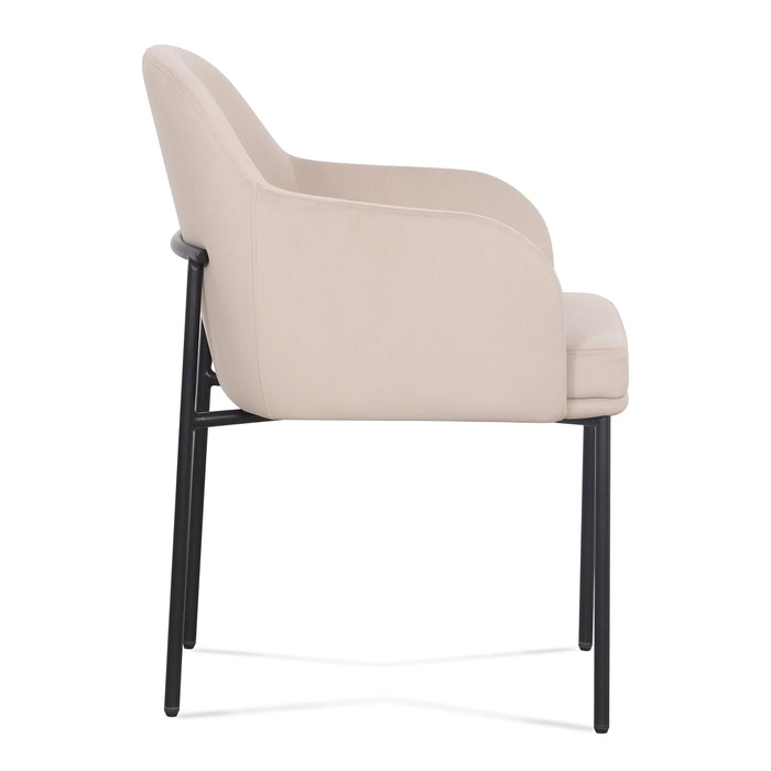 Sydney Armchair - Set of 2