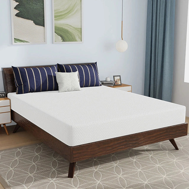 Nasturtium 8" Queen Bamboo Charcoal Infused Memory Foam - Dream Home Furniture & Mattress (Waite Park, MN)