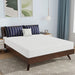 Nasturtium 8" Queen Bamboo Charcoal Infused Memory Foam - Dream Home Furniture & Mattress (Waite Park, MN)