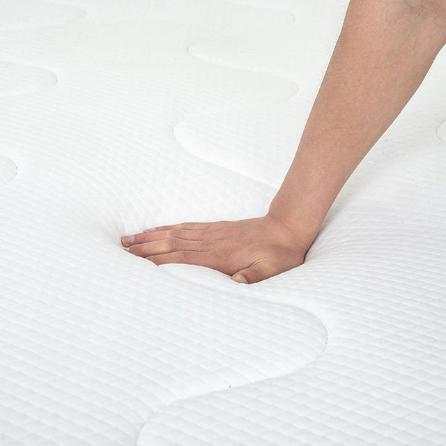 Catmint 12" Innerspring Mattress - Dream Home Furniture & Mattress (Waite Park, MN)