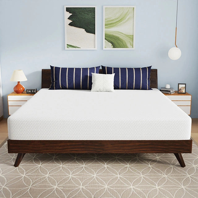 Nasturtium 10" E.King Bamboo Charcoal Infused Memory Foam - Dream Home Furniture & Mattress (Waite Park, MN)