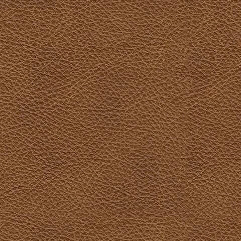 Carianna Sofa Sleeper - Dream Home Furniture & Mattress (Waite Park, MN)