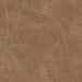 Bradney Swivel Accent Chair - Dream Home Furniture & Mattress (Waite Park, MN)