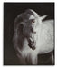 Archerwick Wall Art - Dream Home Furniture & Mattress (Waite Park, MN)