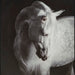 Archerwick Wall Art - Dream Home Furniture & Mattress (Waite Park, MN)