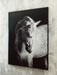 Archerwick Wall Art - Dream Home Furniture & Mattress (Waite Park, MN)