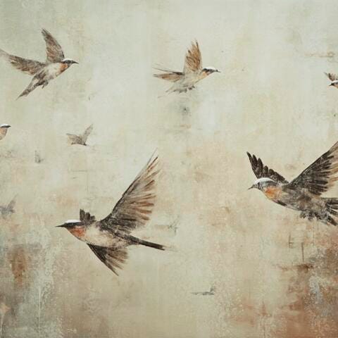 Collmund Wall Art - Dream Home Furniture & Mattress (Waite Park, MN)