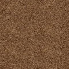 Bolsena Sofa Sleeper - Dream Home Furniture & Mattress (Waite Park, MN)