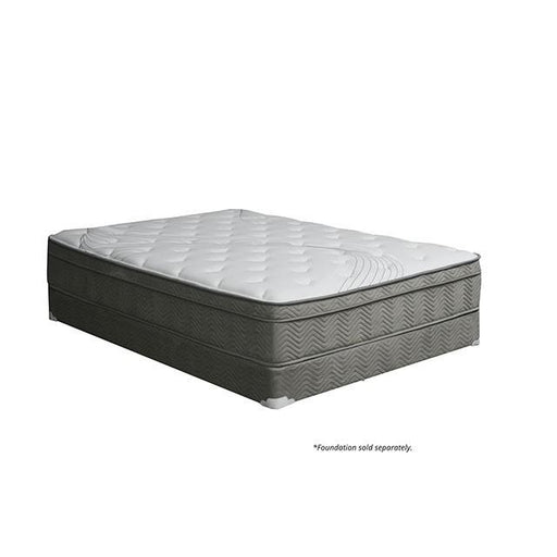 Afton 12 Euro Box Pocket Coil - Dream Home Furniture & Mattress (Waite Park, MN)