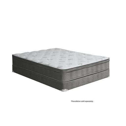 Aleksa 11 Euro Top Mattress (Non-Flip) - Dream Home Furniture & Mattress (Waite Park, MN)