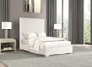 Cadwell E.King, Queen, & Full Bed White, Gray, & Black - Dream Home Furniture & Mattress (Waite Park, MN)