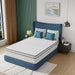 Catmint 12" Innerspring Mattress - Dream Home Furniture & Mattress (Waite Park, MN)