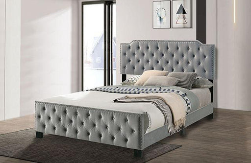 CHARLIZE Cal.King Bed, Gray - Dream Home Furniture & Mattress (Waite Park, MN)