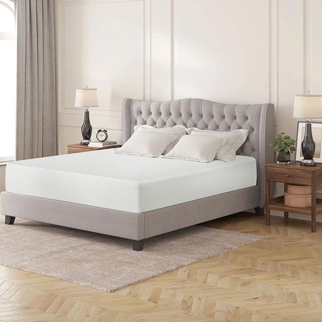 Artemisia 12" Memory Foam Mattress - Dream Home Furniture & Mattress (Waite Park, MN)