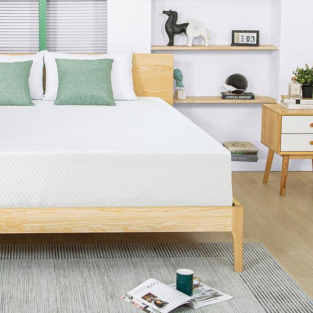 Artemisia 12" Memory Foam Mattress - Dream Home Furniture & Mattress (Waite Park, MN)