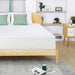 Artemisia 12" Memory Foam Mattress - Dream Home Furniture & Mattress (Waite Park, MN)