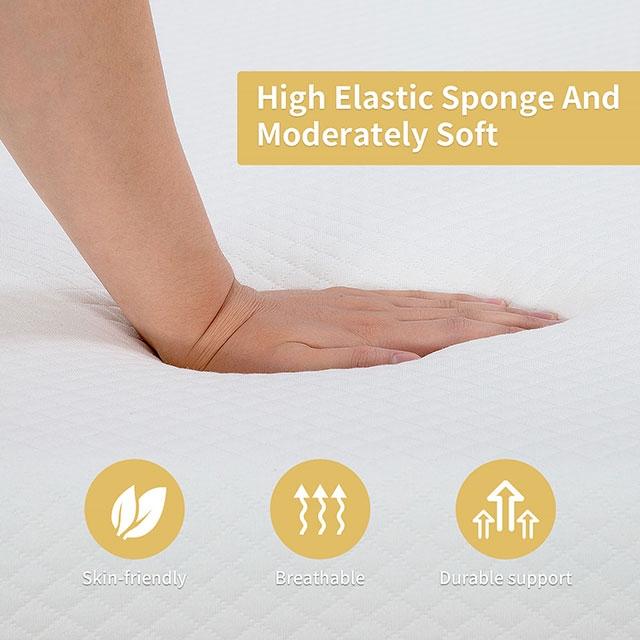 Artemisia 8" Memory Foam Mattress - Dream Home Furniture & Mattress (Waite Park, MN)